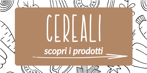 Scopri i nostri prodotti