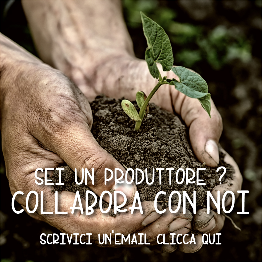 Scopri le nostre verdure