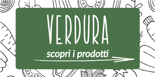 Scopri i nostri prodotti